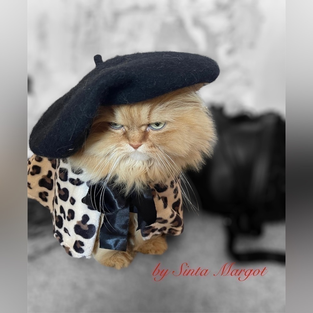 Photography print of my model Dior will comes with lamination NWT my me